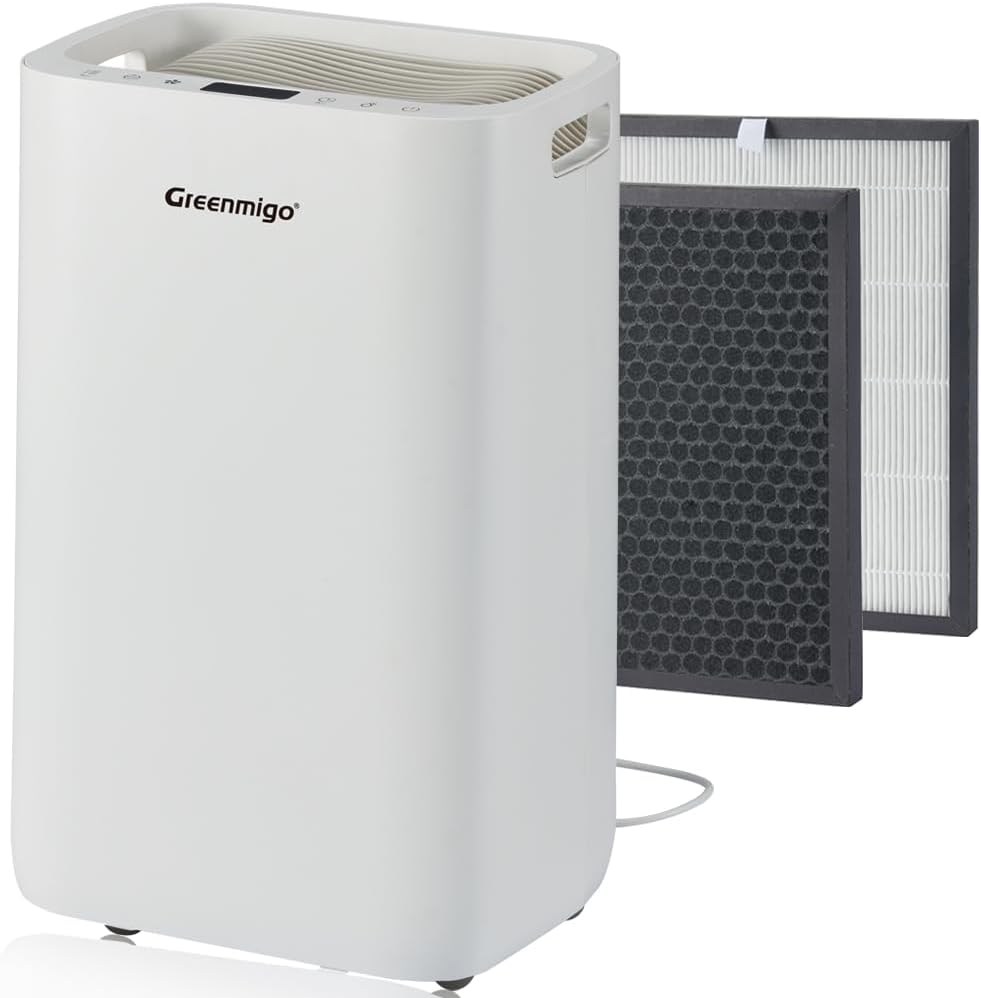 Déshumidificateur avec Ioniseur 20L/jour pour pièce jusqu'à 65m²,Filtre HEPA,Sèchage du Linge,Minuterie,Réservoir de 4.5L,Purificateur d'air Silencieux pour Maison,Cuisine,Bureau(ALPHA-Q20)
