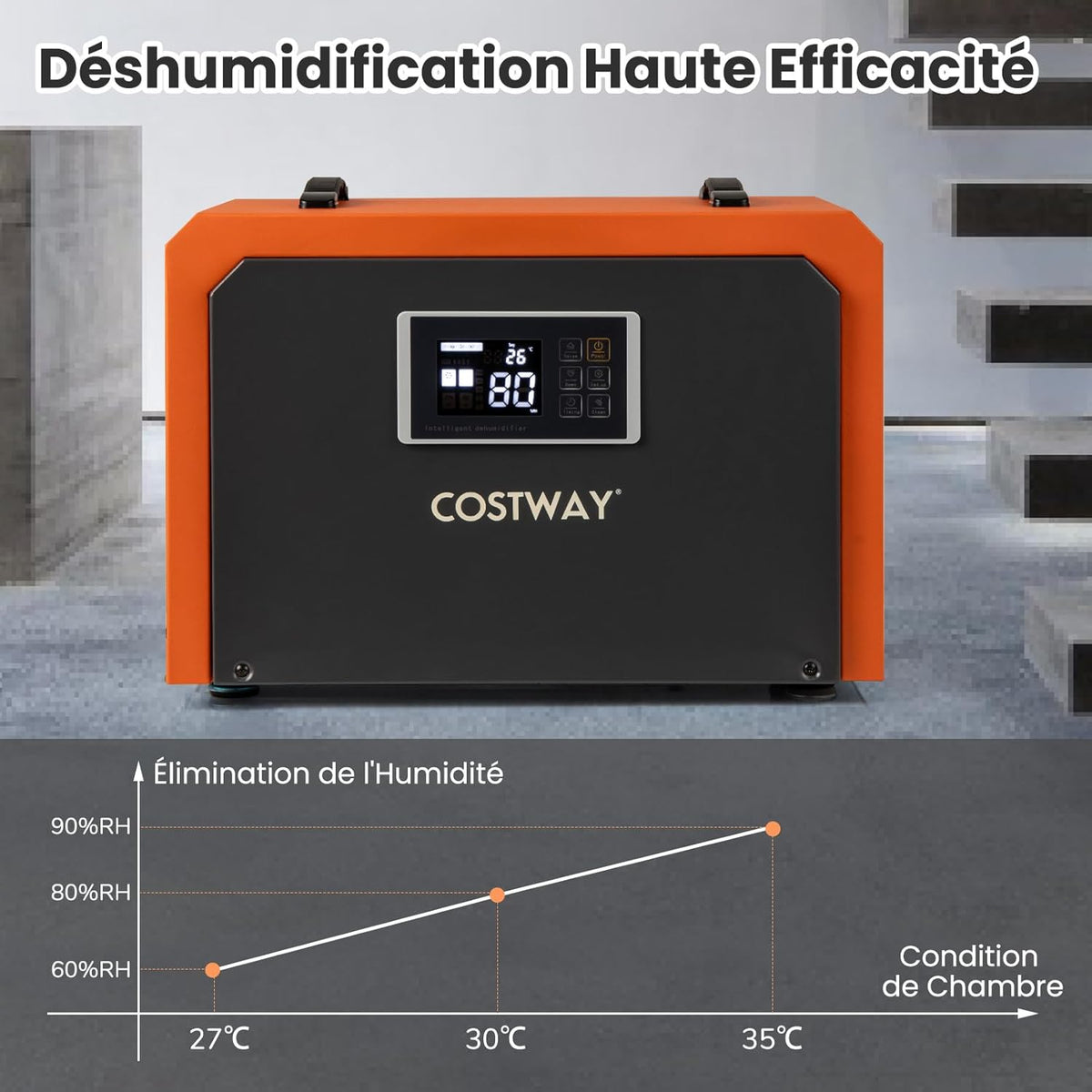 COSTWAY Déshumidificateur Professionnel 60 L/Jour, Déshumidificateur d'Air Électrique avec Minuterie 24H Restauration des Dégats d'Eau Dégivrage Automatique, Jusqu'à 560 ㎡pour Sous-sol Chantier