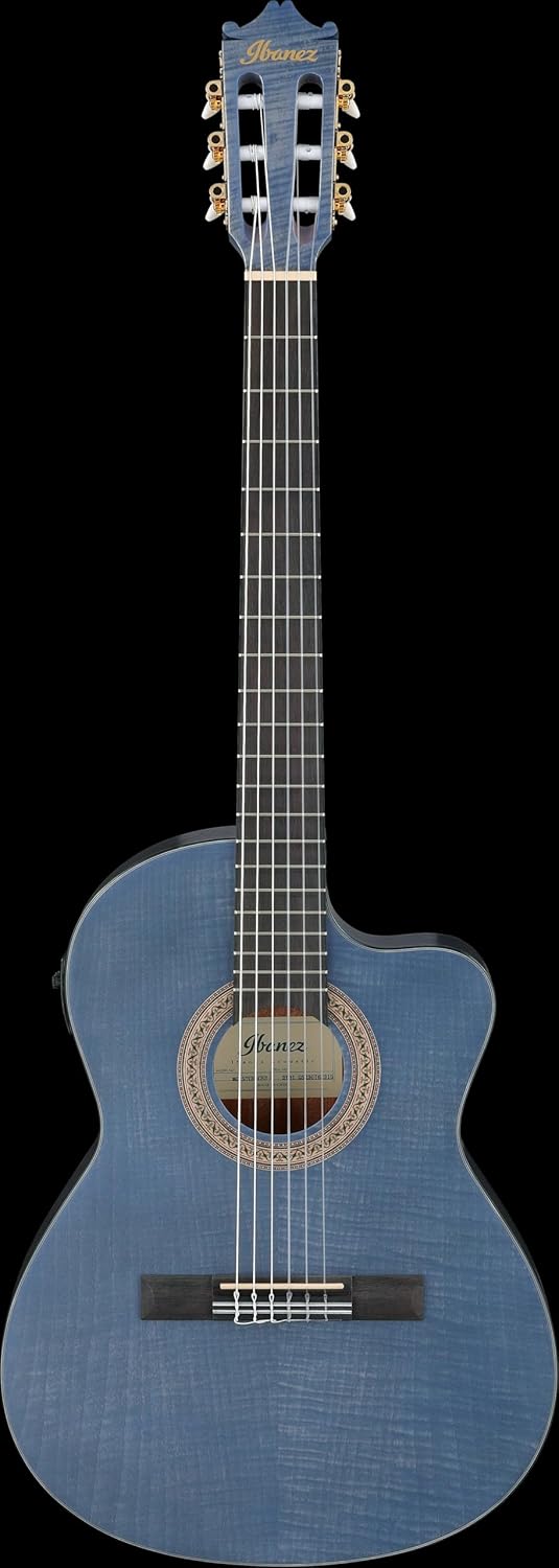 Ibanez Acoustic guitar / GA5FMTCEOB Standard