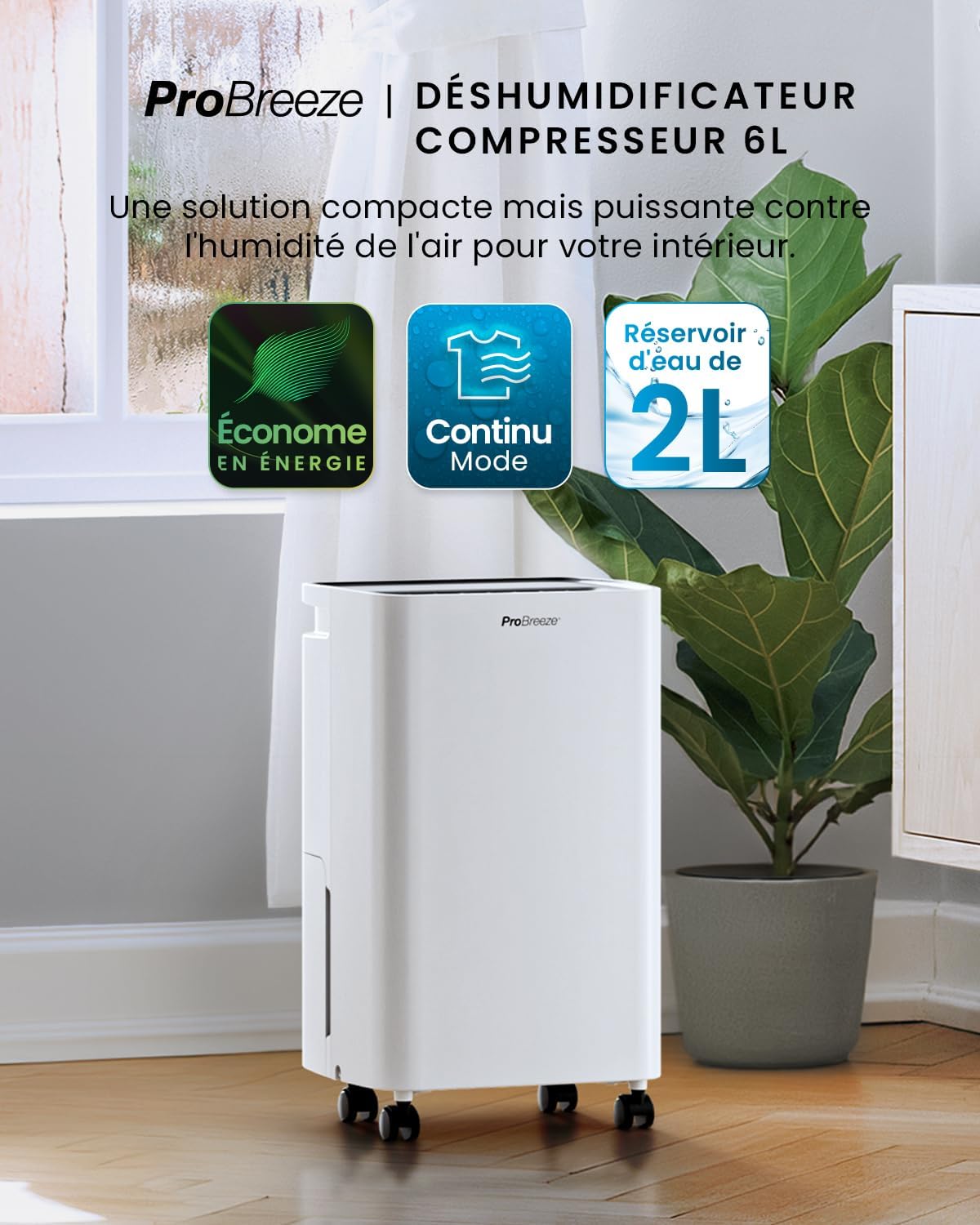 Pro Breeze Déshumidificateur d Air 6L/jour, Éliminateur de Moisissure Noire, Absorbeur d'Humidité Automatique, Sèche-linge, Déshumidificateur Compresseur Portable Silencieux, Minuterie 24h