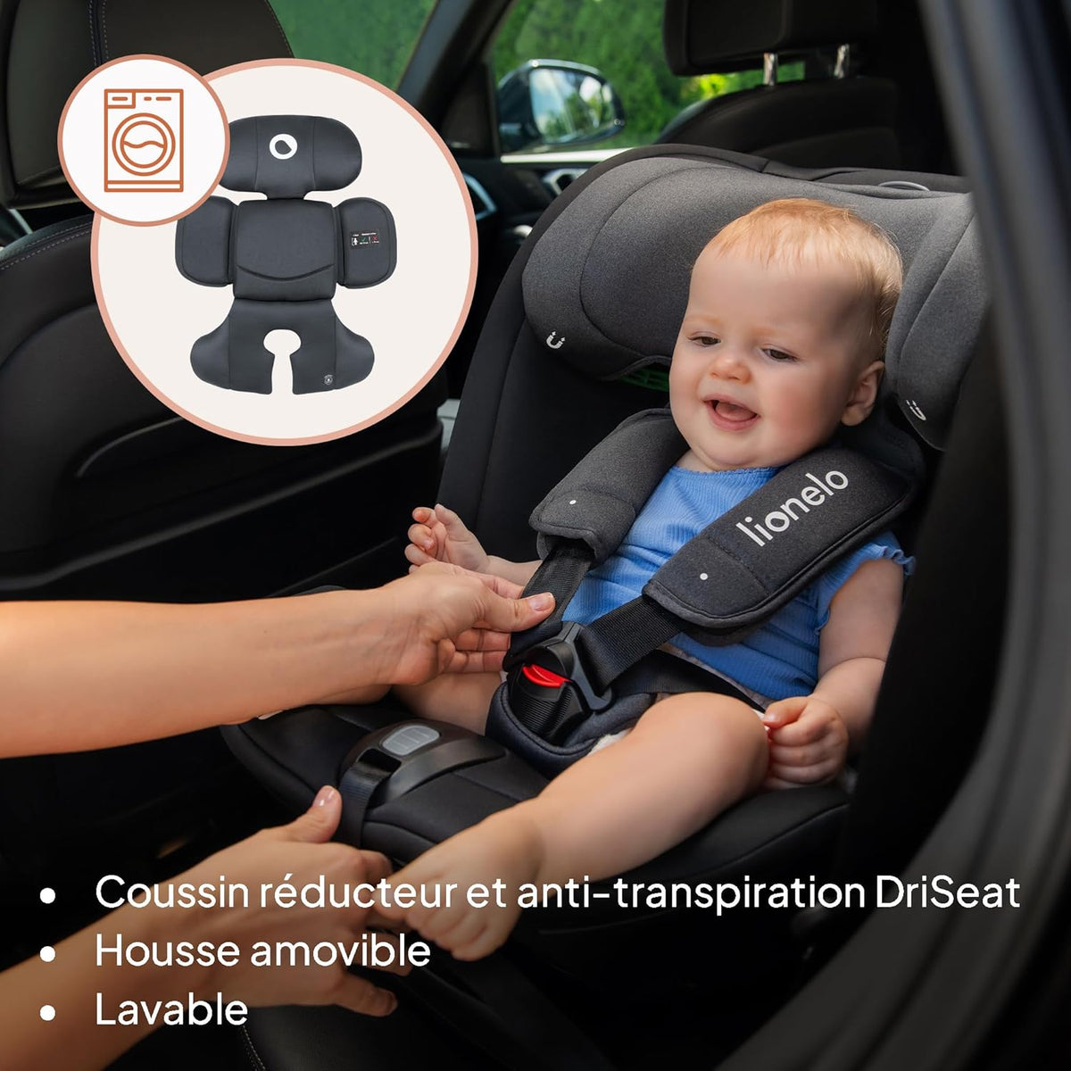 LIONELO Bastiaan RWF i-Size Siège Auto Pivotant 360° 0-36kg, Montage Face et Dos à la Route, ISOFIX, TopTether, Réglage de l'Appui-tête, de la Ceinture de Sécurité et du Dossier
