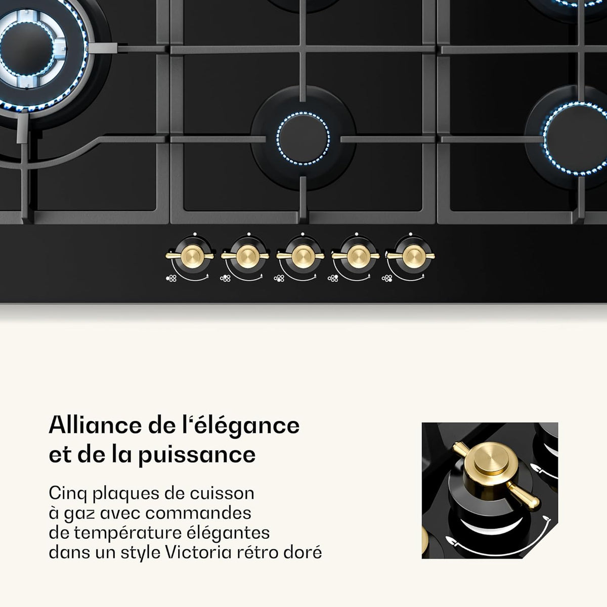 Klarstein Table de Cuisson à Gaz avec 5 Brûleurs – Plaque de Cuisson Encastrable 11100W, Surface en Acier Inoxydable, Compatible GPL