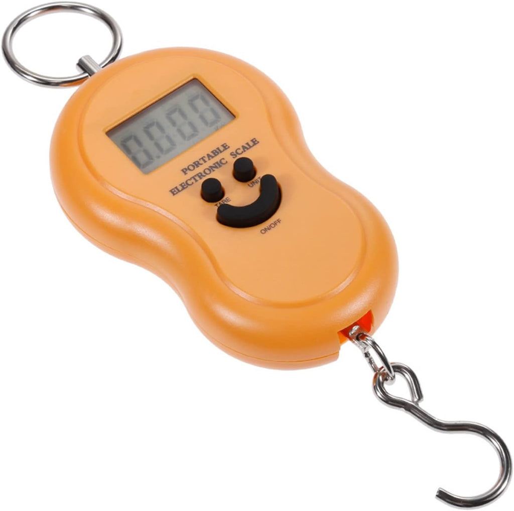 ZJFHEYUO Mini Balance numérique de 50 kg pour la pêche, Les Bagages, Les Voyages, la Cuisine, la Balance à Crochet électronique Suspendue