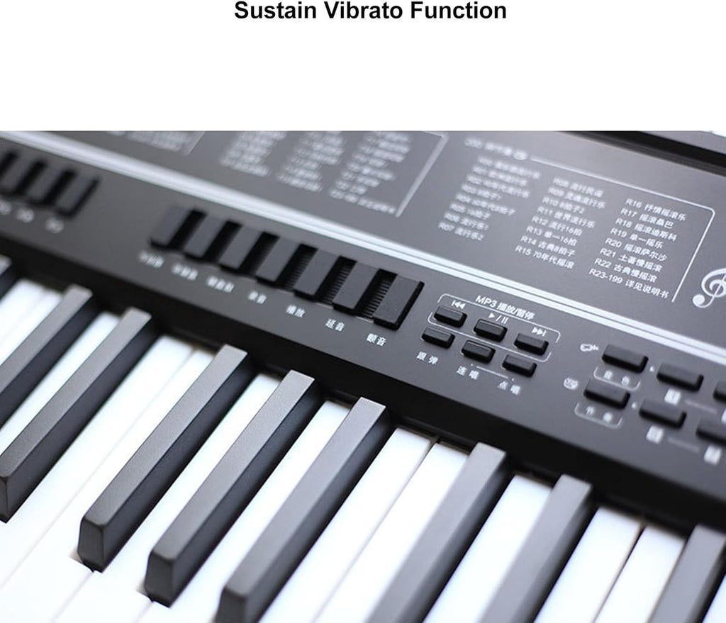 Piano à Clavier électronique 61 Touches, Piano Numérique Portable avec Microphone et Pupitre pour la Pratique de la Performance