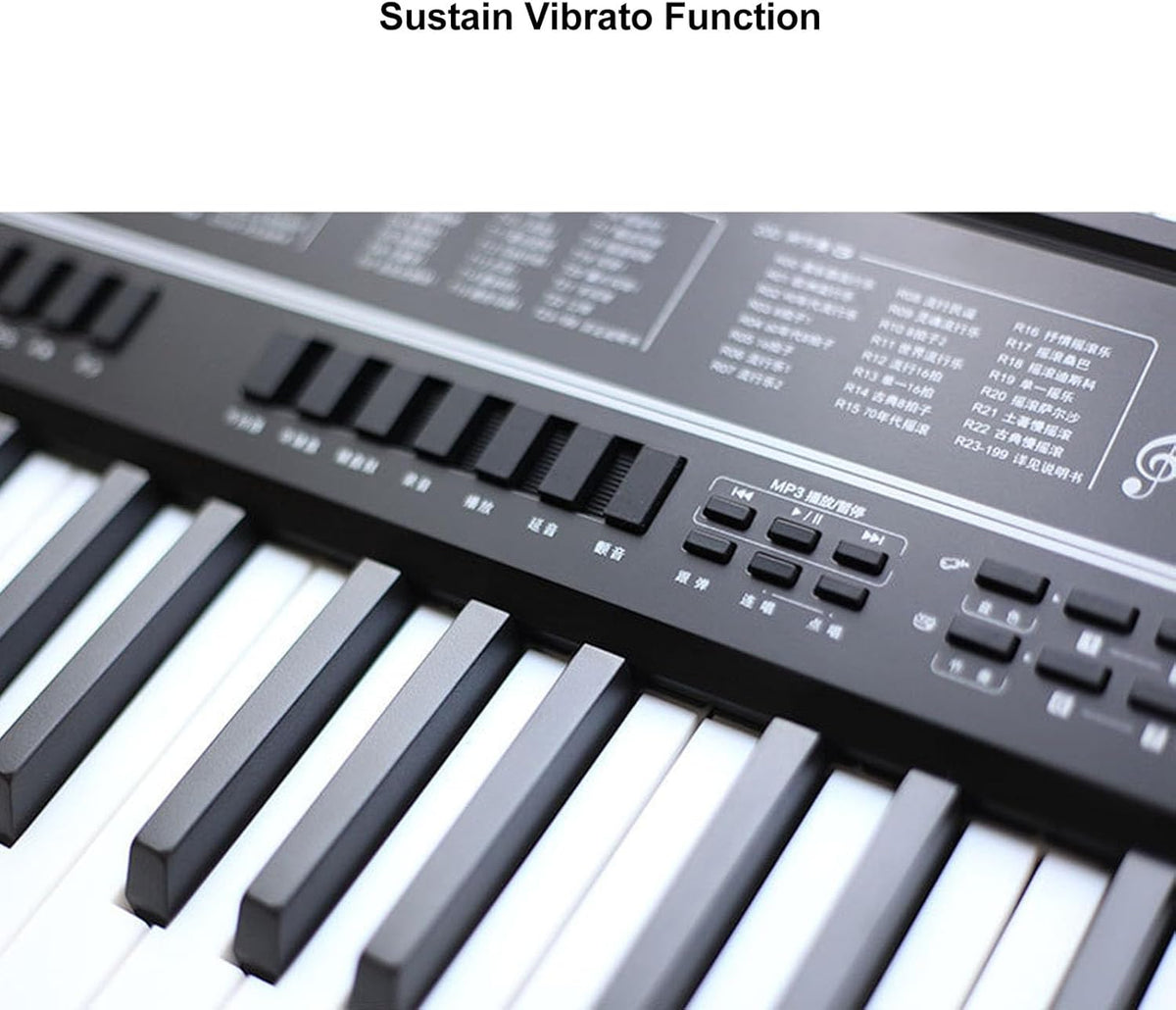 Piano à Clavier électronique 61 Touches, Piano Numérique Portable avec Microphone et Pupitre pour la Pratique de la Performance