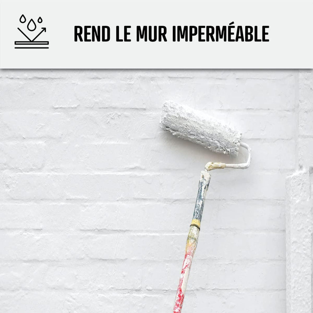 ARCANE INDUSTRIES Peinture anti humidité pour mur salle de bain et intérieur | Traitement préventif des moisissures : ARCASCREEN - 10 L (jusqu'à 40 m