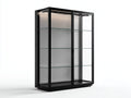 Vitrine en verre avec portes vitrées et étagères 90x40x180 cm - Noir - Vitrine moderne pour intérieur
