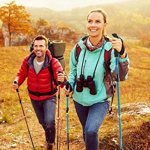 NATWEE Bâtons de Marche télescopiques ergonomiques Pliables pour bâtons de Trekking pour la randonnée, Le Trekking, Le Camping, Les Voyages, l'escalade, la randonnée, 2 pièces It's So Kind of You
