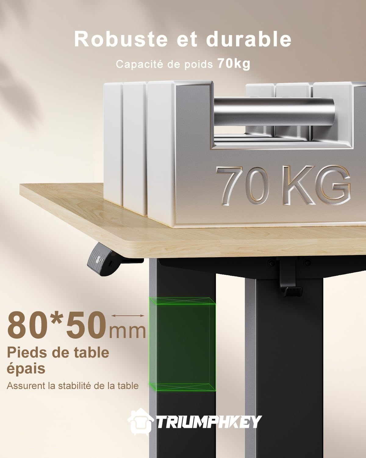 TRIUMPHKEY Bureau électrique 160 x 80 cm, réglable en hauteur, prise USB, 3 contrôles mémoire, table d'ordinateur, pour bureau, position debout