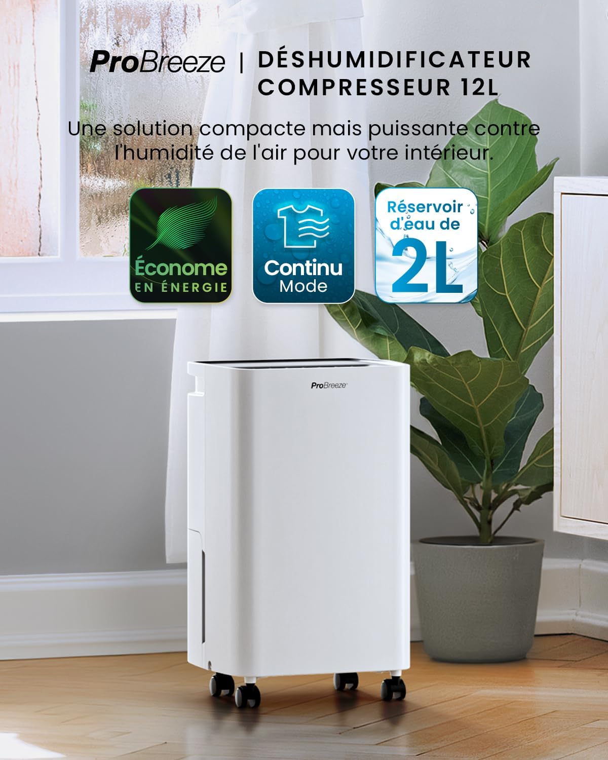 Pro Breeze Déshumidificateur d Air 12L/jour, Éliminateur de Moisissure Noire, Absorbeur d'Humidité Automatique, Sèche-linge, Déshumidificateur Compresseur Portable Silencieux, Minuterie 24h