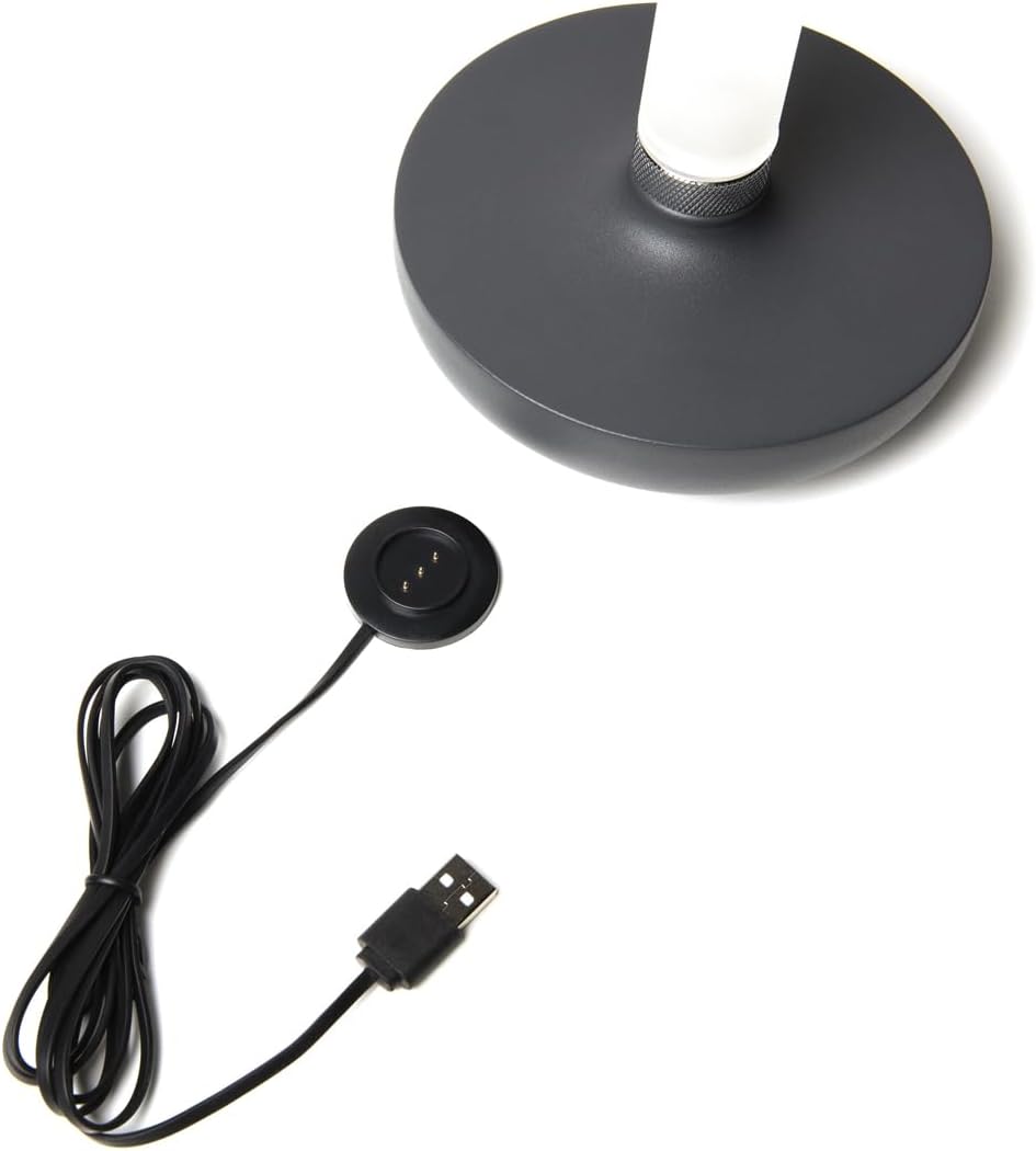 Lot de 2 lampes d'extérieur et vase à fleurs avec batterie Gris Hauteur 20 cm