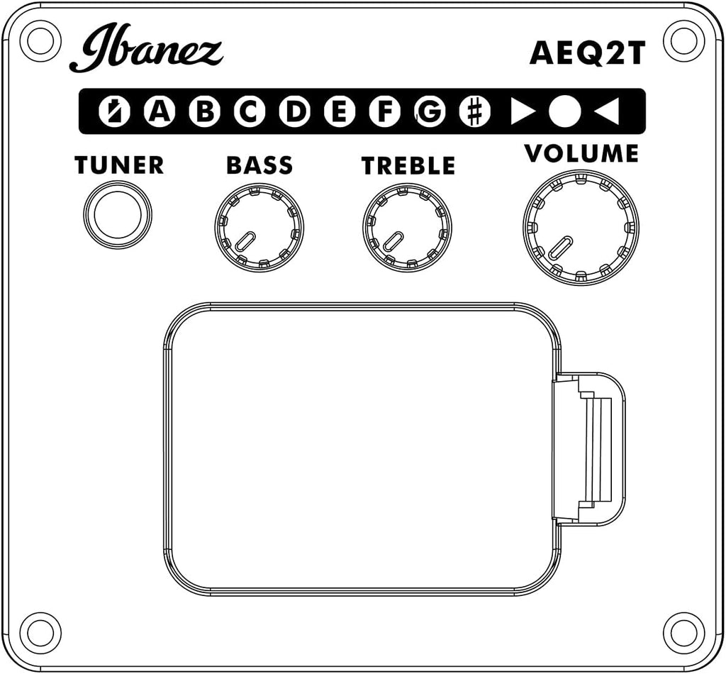 Ibanez Acoustic guitar / GA5FMTCEOB Standard