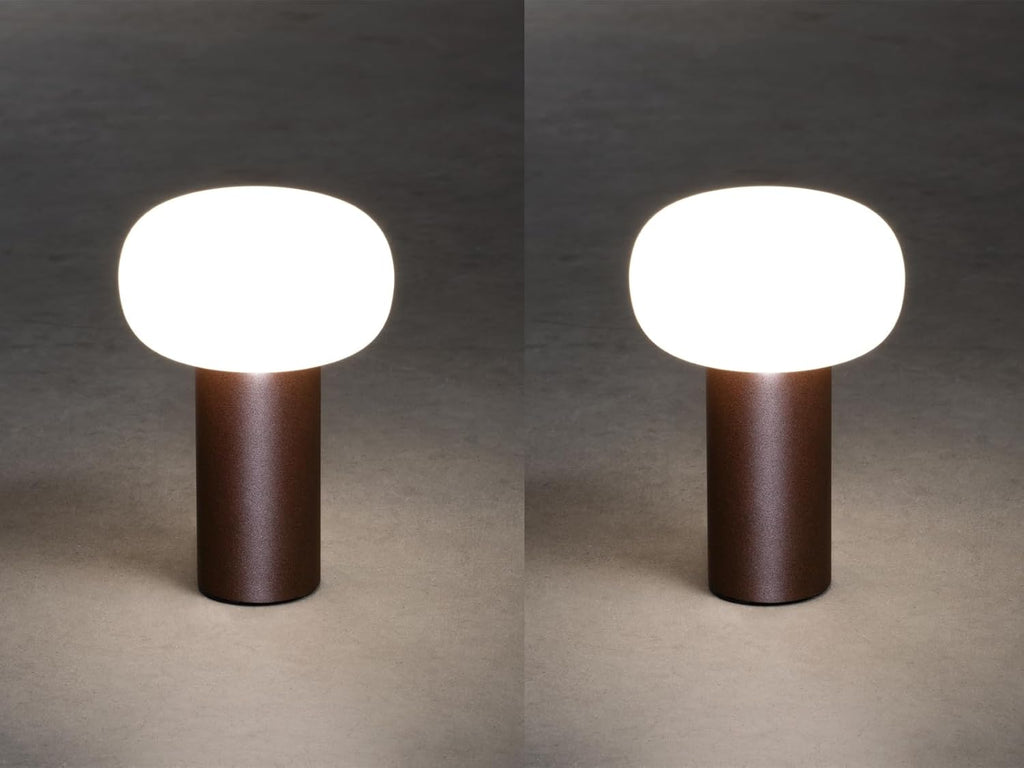Lot de 2 lampes de table d'extérieur sans fil avec changement de couleur RVB, aspect rouille Hauteur 19 cm
