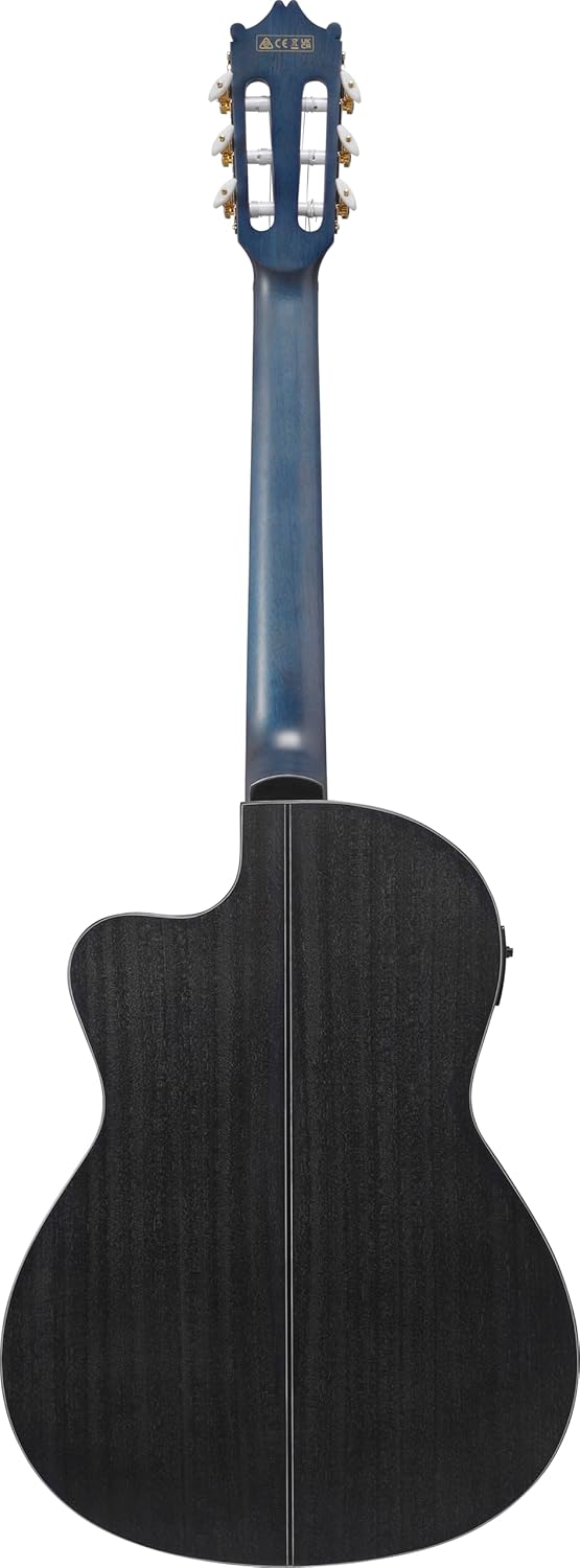 Ibanez Acoustic guitar / GA5FMTCEOB Standard