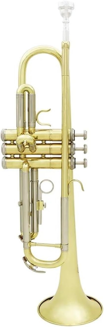 trompettes Trompette de musique professionnelle Bb B tube en cuivre plat instrument à vent avec embout et boîte de sangle (Color : 2)