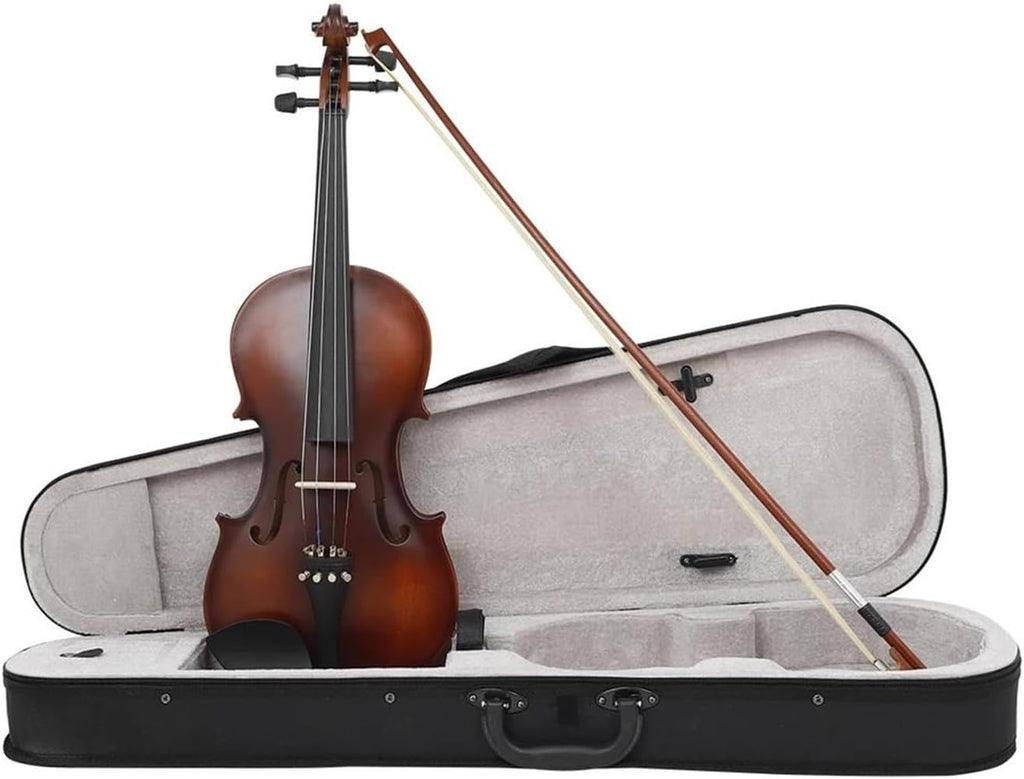 Ensemble D'instruments De Violon Violon 4/4 Professionnel Pour Adulte Fait Main Avec Étui Archet Et Cordes