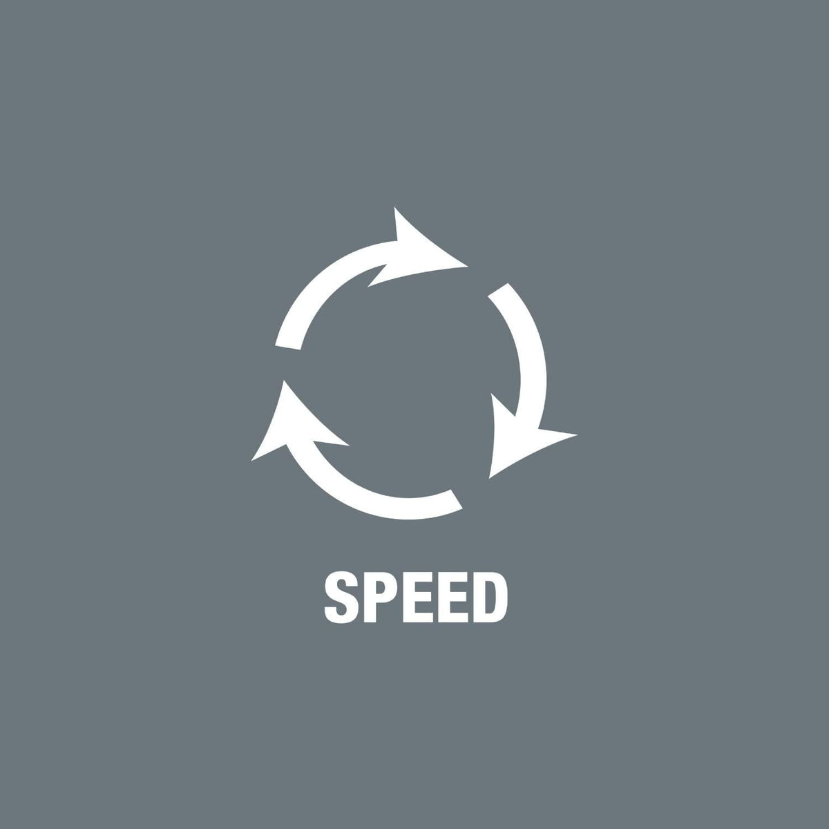 Wera 05003755001 8100 SA All-in Jeu cliquet Zyklop Speed, à carré 1/4“, avec fonction de retenue, métrique, 42 pièces