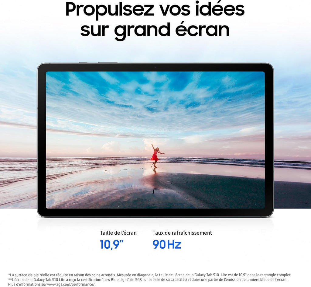 Tab S10 Lite, 10.9", Wi-Fi, 256Go, Tablette Android, S Pen Inclus, Gris, Chargeur Secteur Rapide 25W Inclus, Version FR