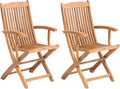 Lot de 2 Chaises de Jardin - Pliantes, en Bois d'Acacia Naturel