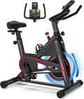 Vélo d'Appartement, DMASUN Vélo d'Exercice Magnétique Silencieux avec Écran LCD, Résistance Réglable de 0 à 100 pour cent, Volant d'inertie Solide, Siège Moelleux et Confortable, Capacité de Charge 160 kg