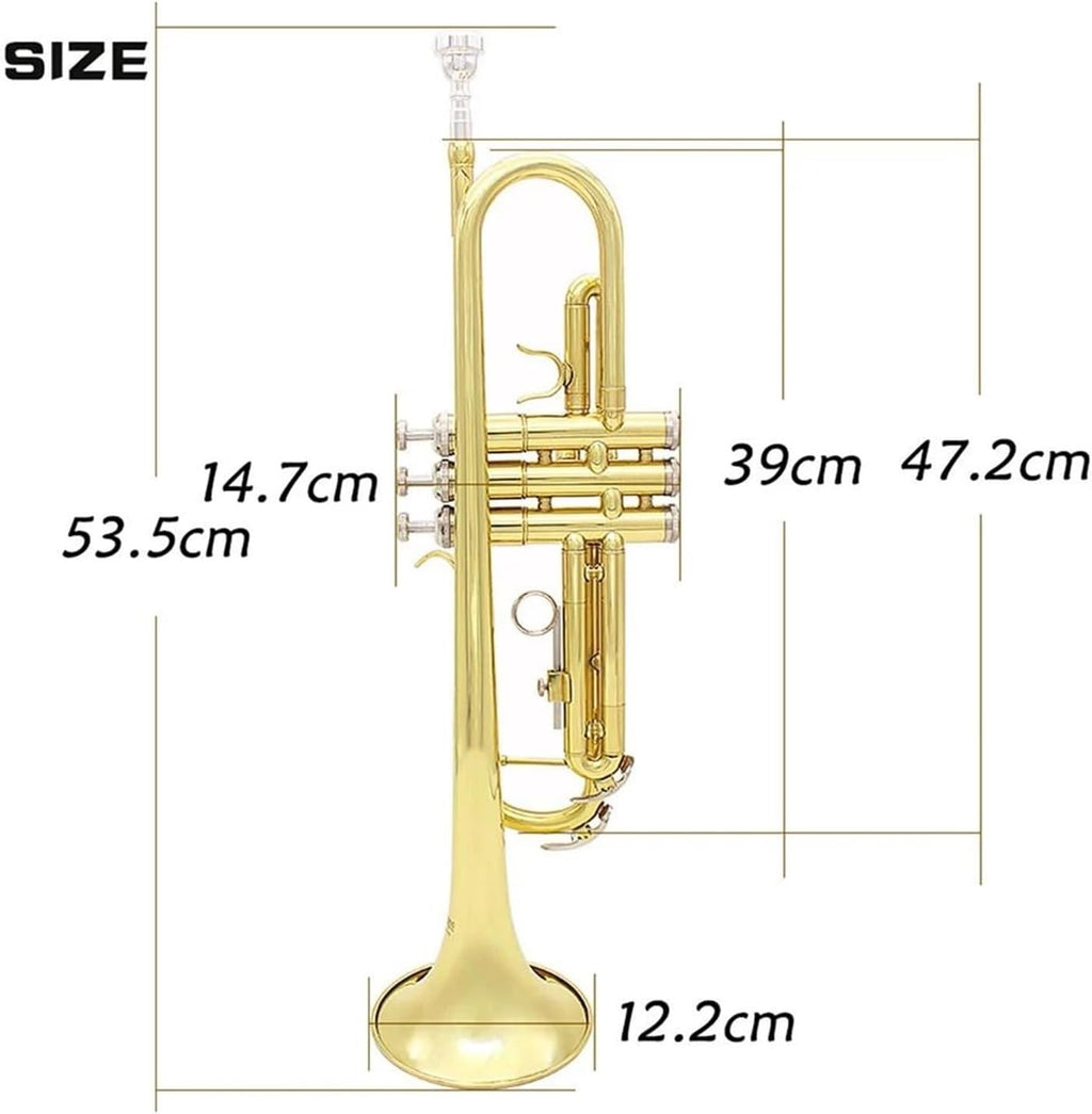 trompettes Trompette de musique professionnelle Bb B tube en cuivre plat instrument à vent avec embout et boîte de sangle (Color : 2)