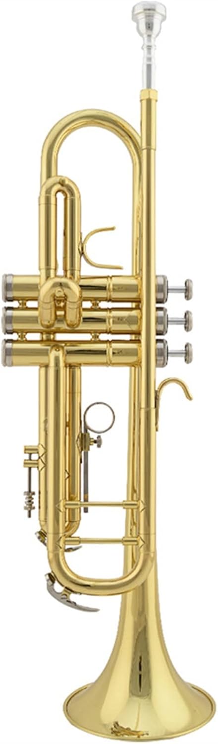 trompette débutant Trompette Instrument Musical Instrument Vent Trompette Cuivre B Trompette Plate Trompette Laiton