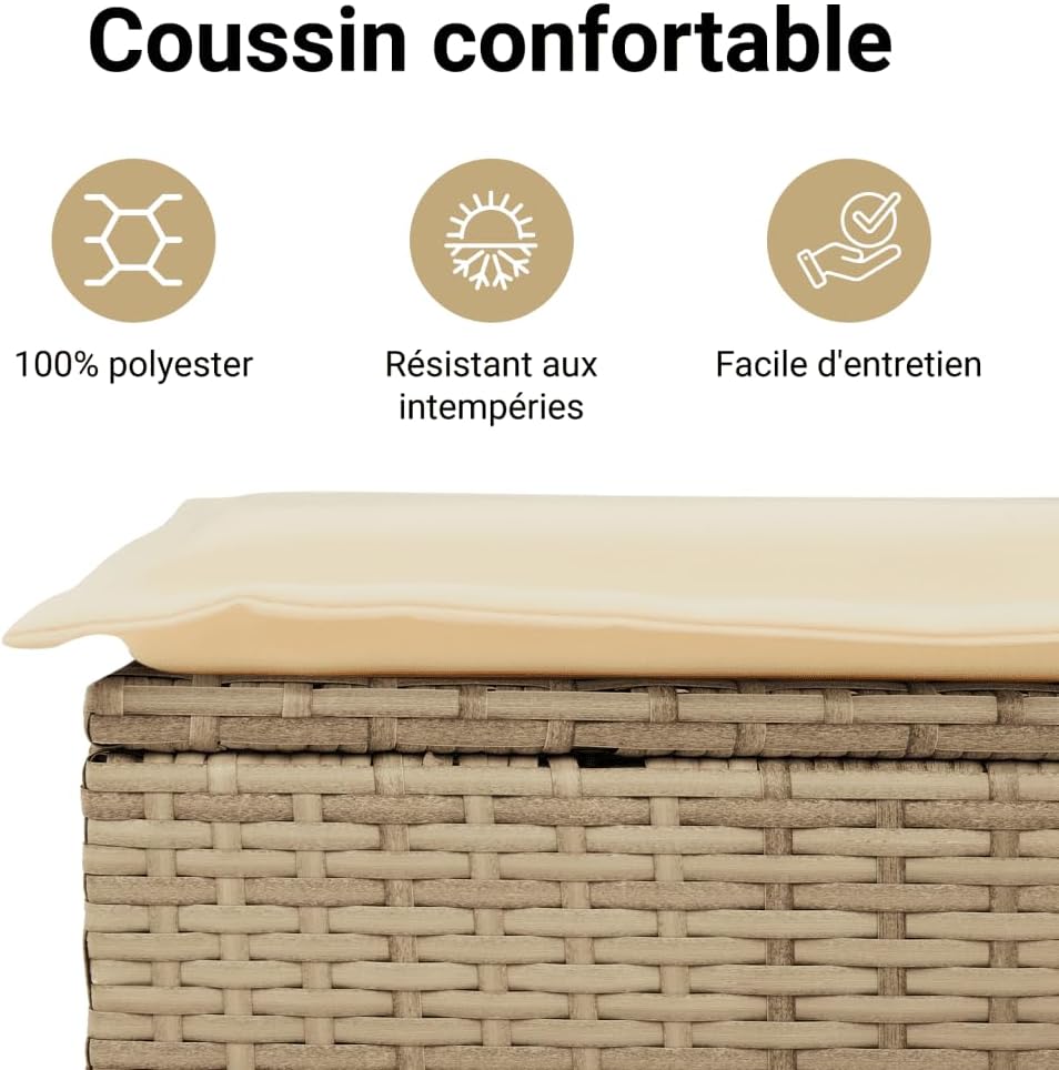 vidaXL Canapé de Jardin avec Coussins 2 Places, Siège avec Repose-Pieds, Canapé-lit avec Dossier, Meuble de Terrasse Patio, Beige Résine Tressée