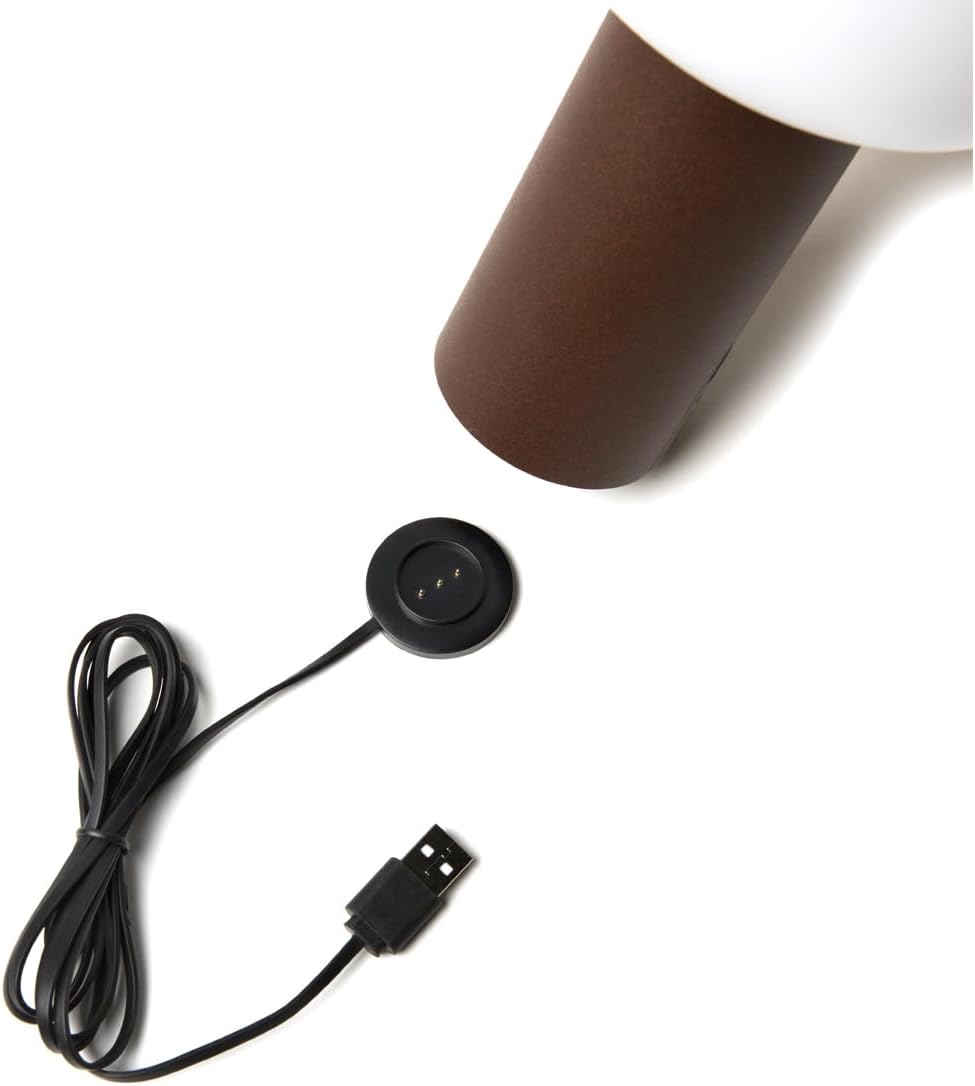 Lot de 2 lampes de table d'extérieur sans fil avec changement de couleur RVB, aspect rouille Hauteur 19 cm