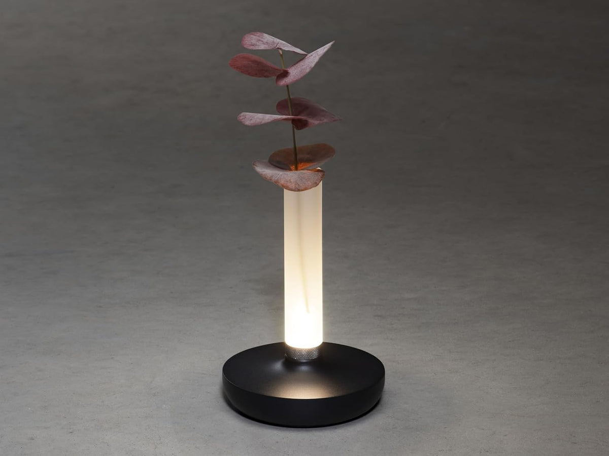 Lot de 2 lampes d'extérieur et vase à fleurs avec batterie Noir Hauteur 20 cm