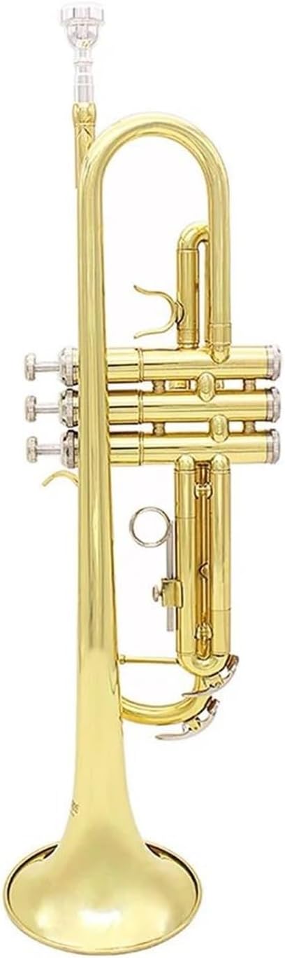 Trompette professionnelle Trompette de musique professionnelle Bb B tube en cuivre plat instrument à vent avec embout et boîte de sangle(Color:3/4)