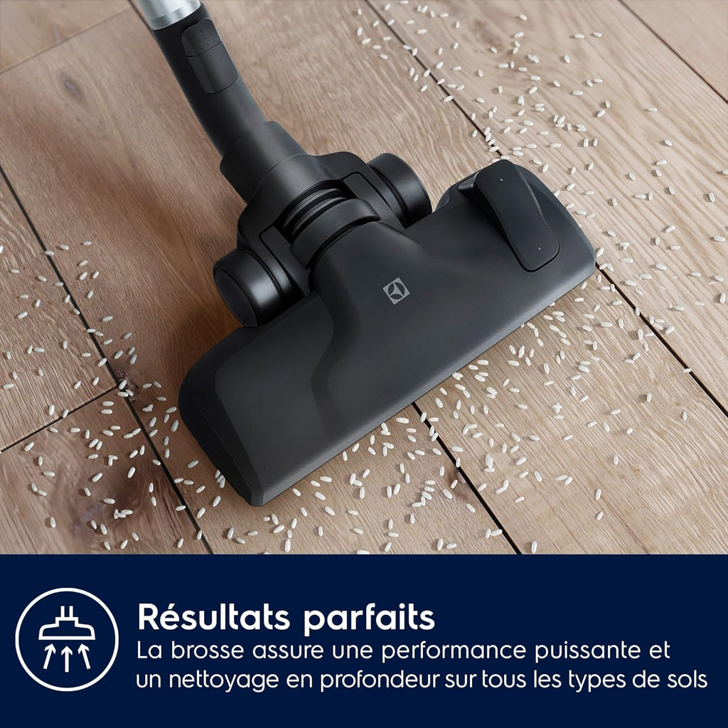 Electrolux Pure C9, Aspirateur Traineau sans Sac, Aspiration Puissante, 7 étapes de Filtration, Poignée Flexible avec Variateur de Flux d'air, Accessoires 3 en 1 Clipsés sur Poignée, PC91-4MG, Gris