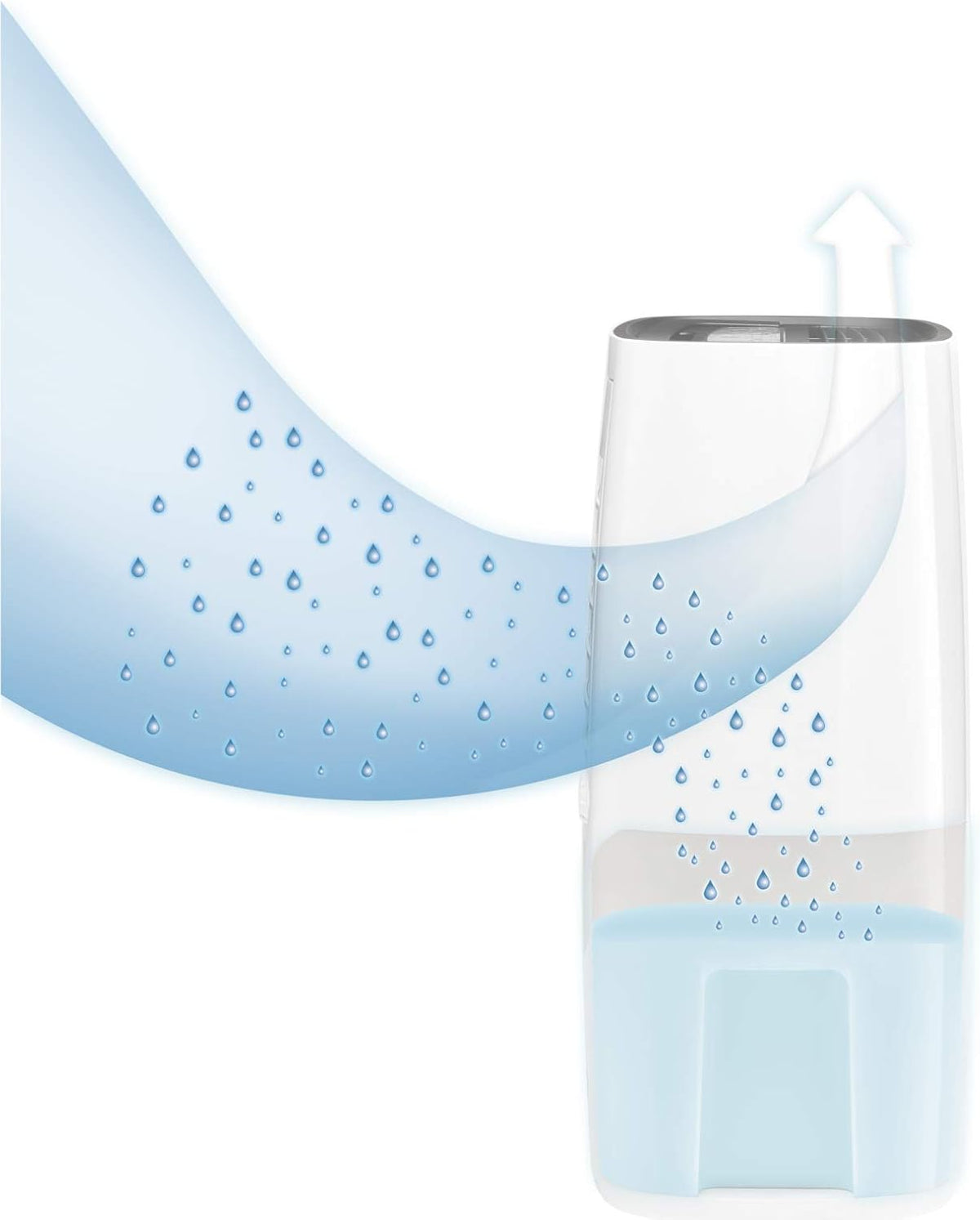 Rowenta Intense Dry Compact DH4224 Déshumidificateur 14L 3 programmes Fonction Linen Dry Filtre compact silencieux