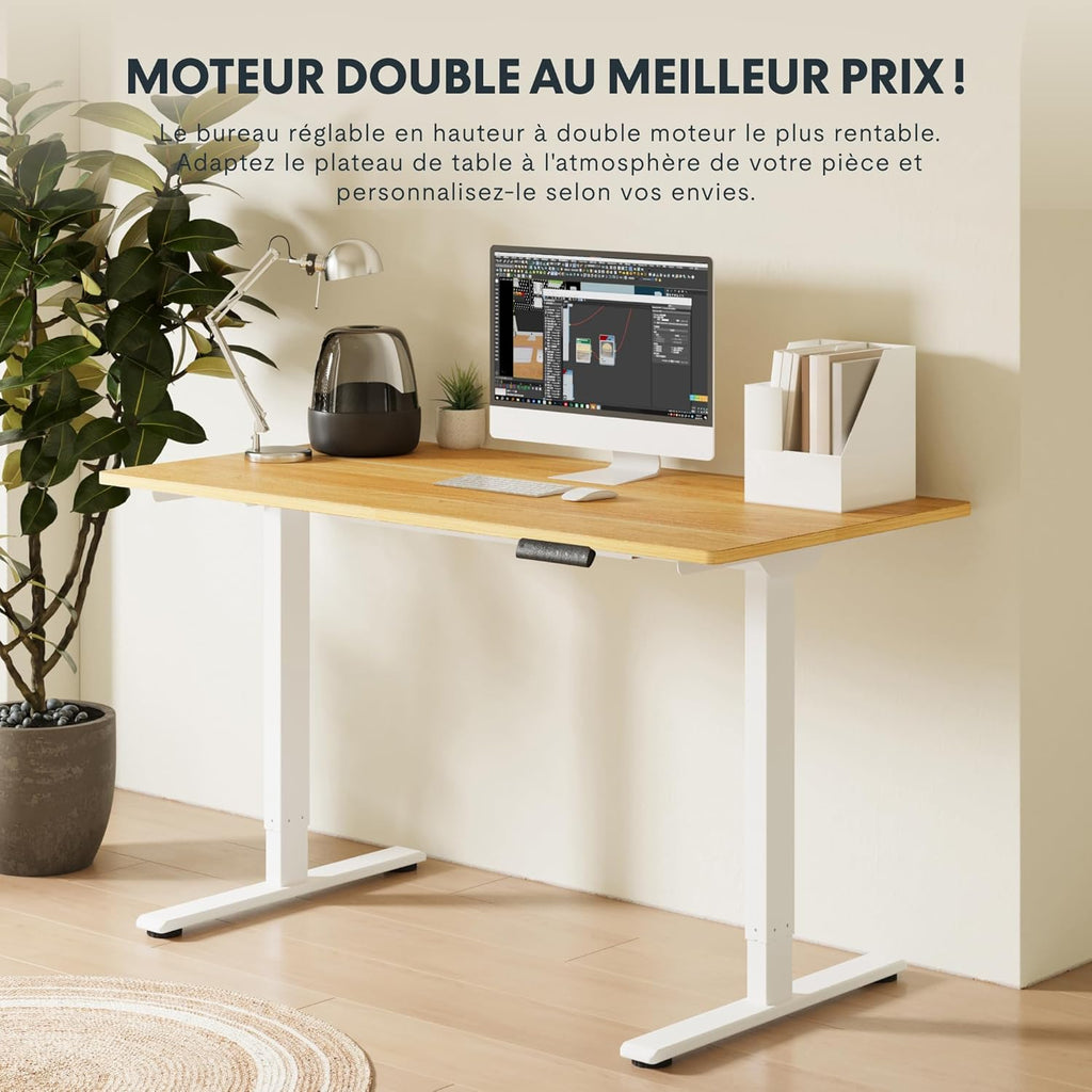 FLEXISPOT EC5 Lite Bureau Assis Debout Électrique à 2 Moteurs,Piétement à 3 Colonnes,Charge 100kg,Bureau Réglable en Hauteur en Acier avec Panneau Smart à Fonctions Mémoires,Noir