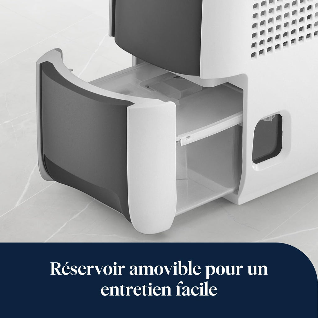 De’Longhi Tasciugo AriaDry Light - Déshumidificateur Portable pour la Maison, Zéolite et Ioniseur, Élimination Humidité 6L/24h, Séchage, Anti-Moisissure, Silencieux, Mode Swing, Minuteur, Gris (DNS65)