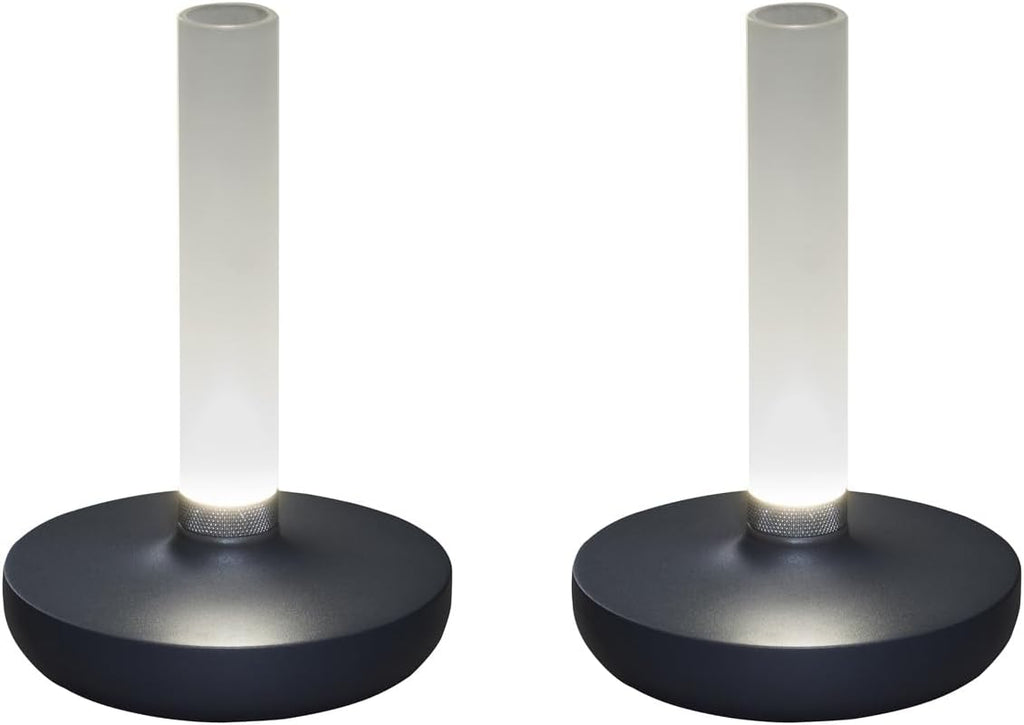 Lot de 2 lampes d'extérieur et vase à fleurs avec batterie Gris Hauteur 20 cm
