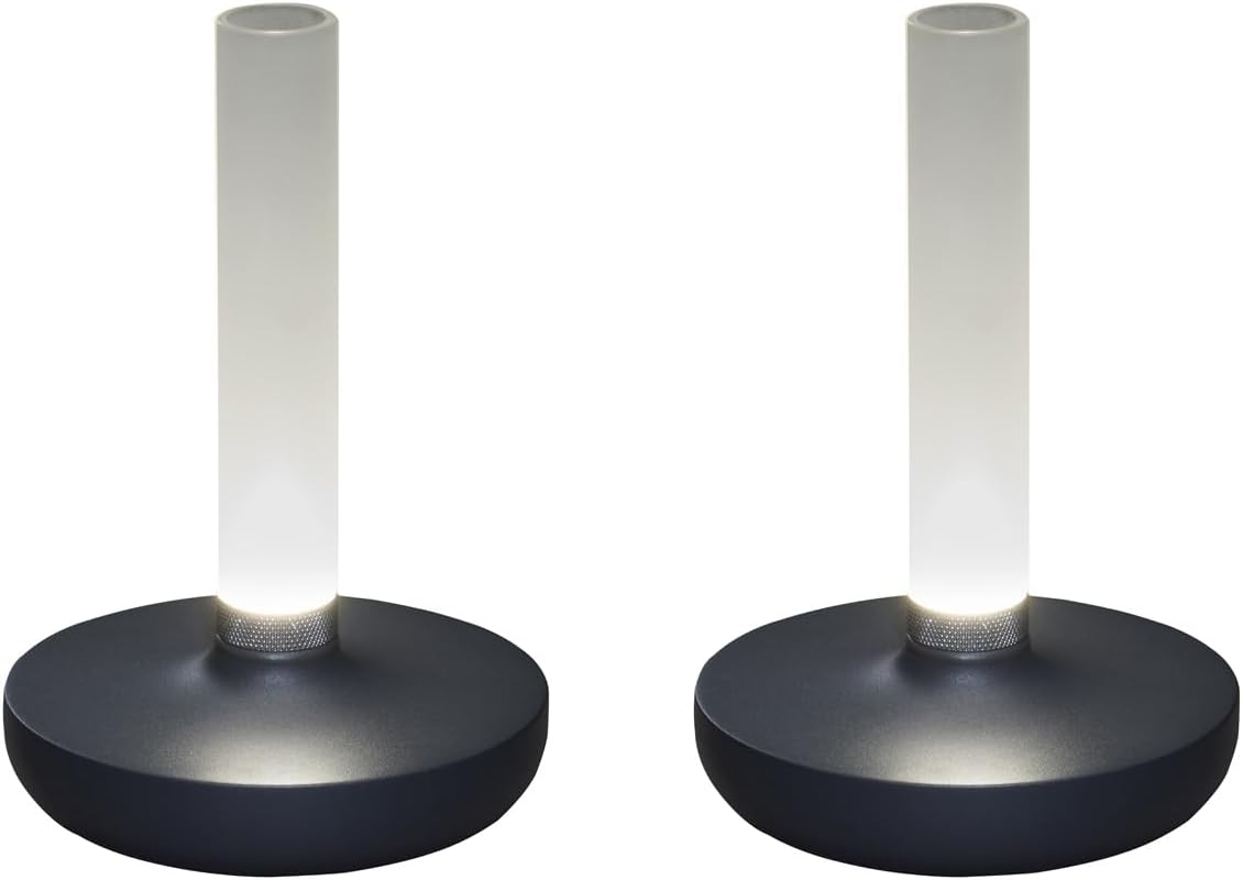 Lot de 2 lampes d'extérieur et vase à fleurs avec batterie Gris Hauteur 20 cm