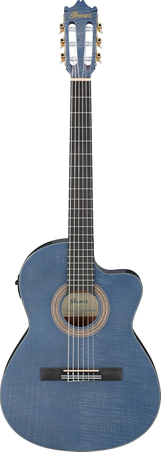 Ibanez Acoustic guitar / GA5FMTCEOB Standard