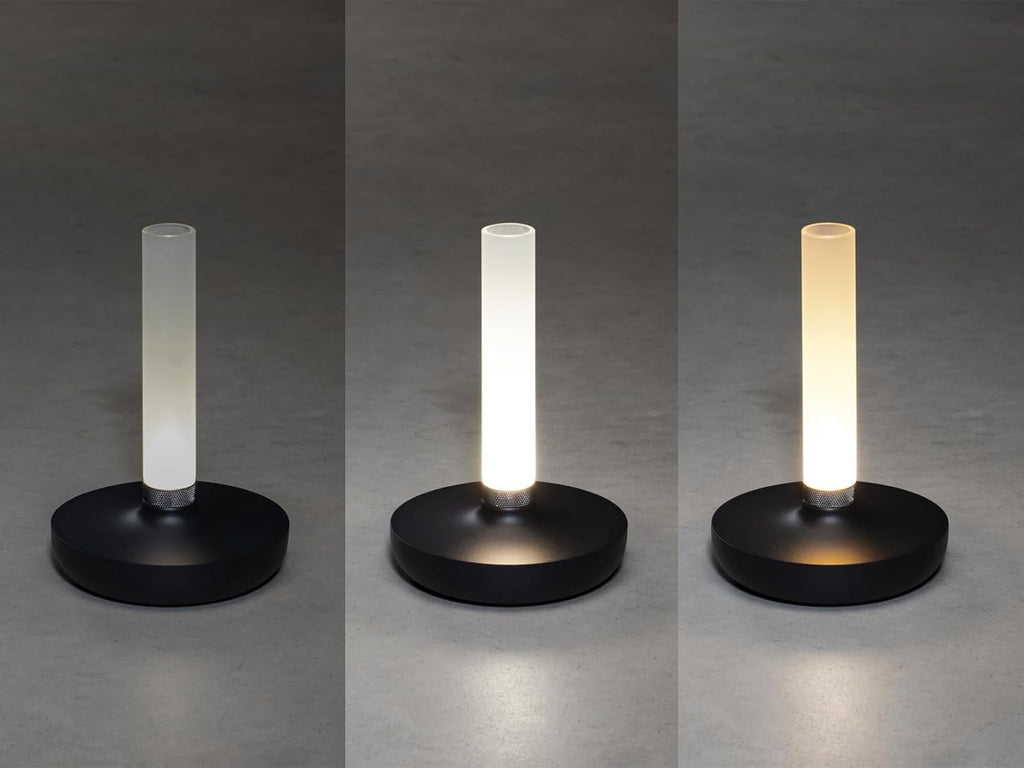 Lot de 2 lampes d'extérieur et vase à fleurs avec batterie Noir Hauteur 20 cm