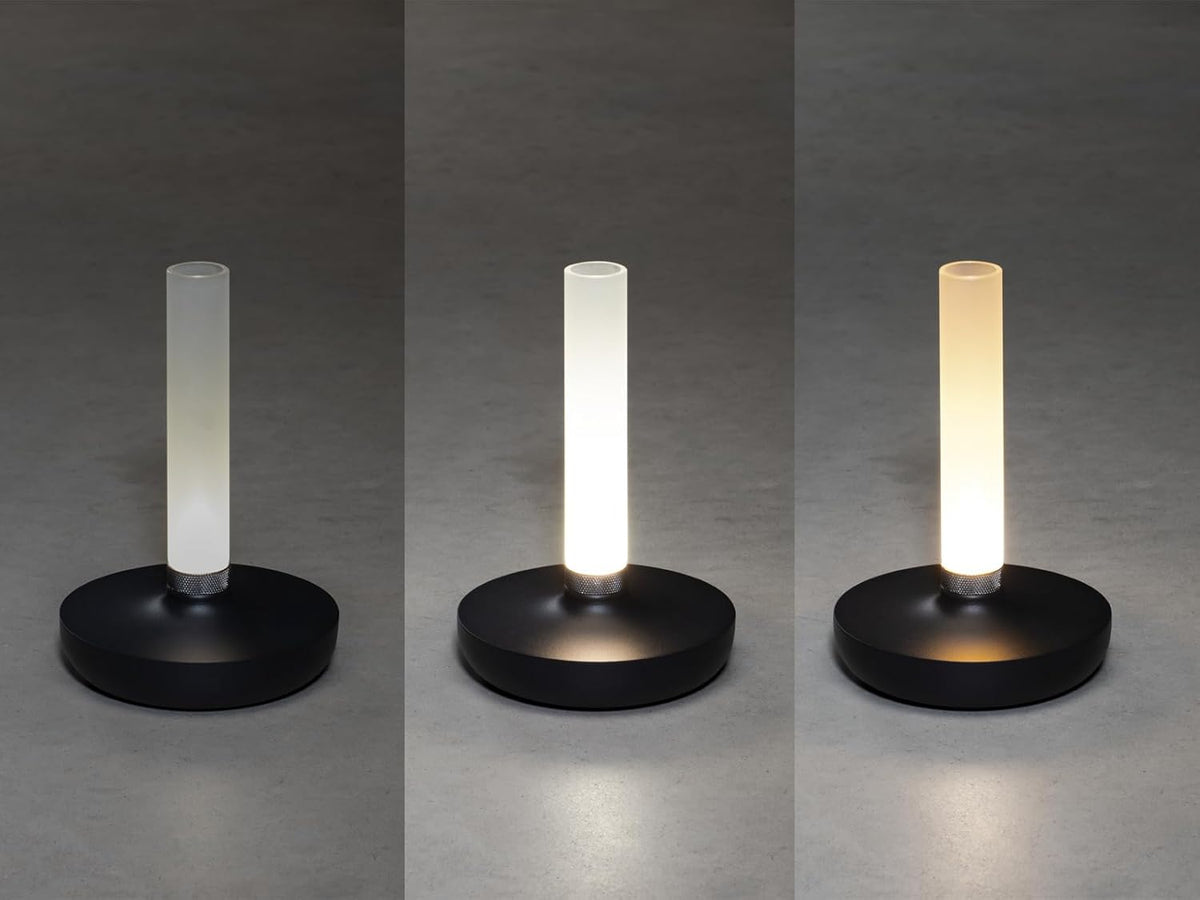 Lot de 2 lampes d'extérieur et vase à fleurs avec batterie Noir Hauteur 20 cm